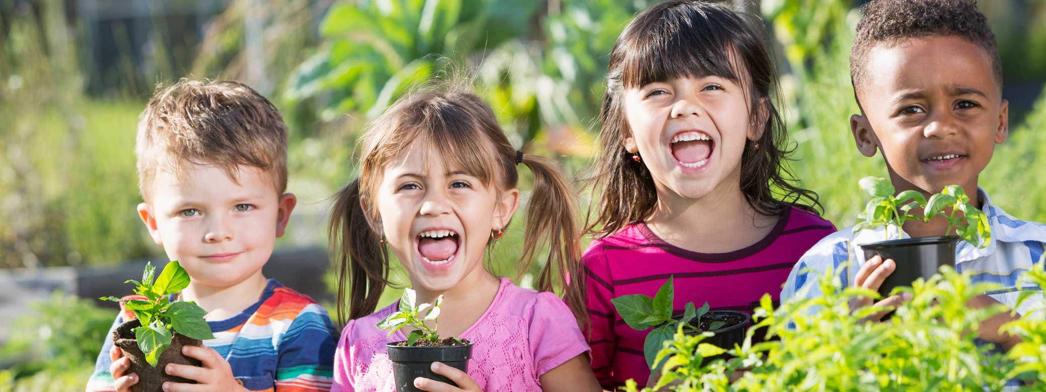 Vier Kinder halten kleine Pflanzen in der Hand und schauen freudig nach vorne