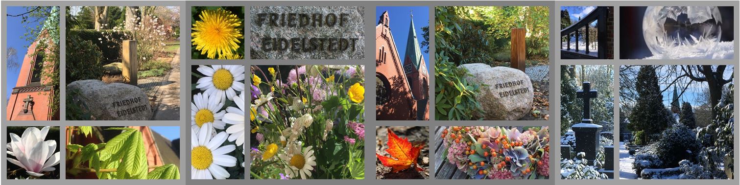 Einzelne Bilder des Friedhofs Eidelstedt wie z.B. Grabsteine und Blumen